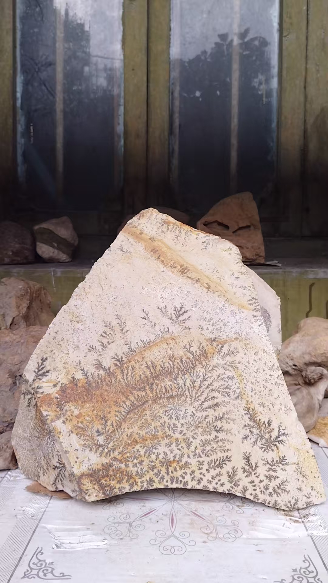 树画石一块（高34厘米宽32厘米），闲置，价格面议，支付微信（152692300